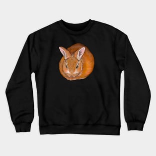 bunny rabbit cute baby ginger bunny rabbit Crewneck Sweatshirt